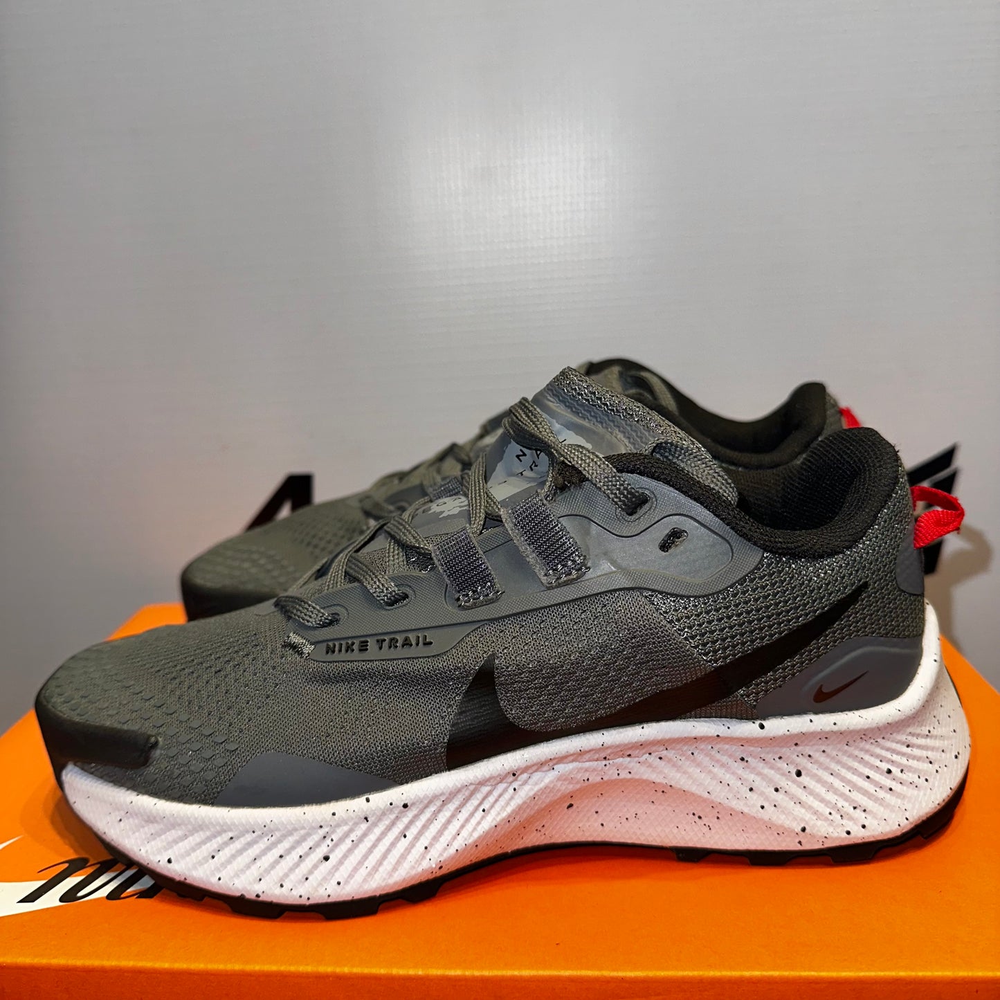 Nike Pegasus Trail
