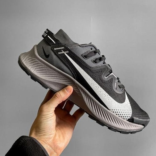 Nike Pegasus Trail 2