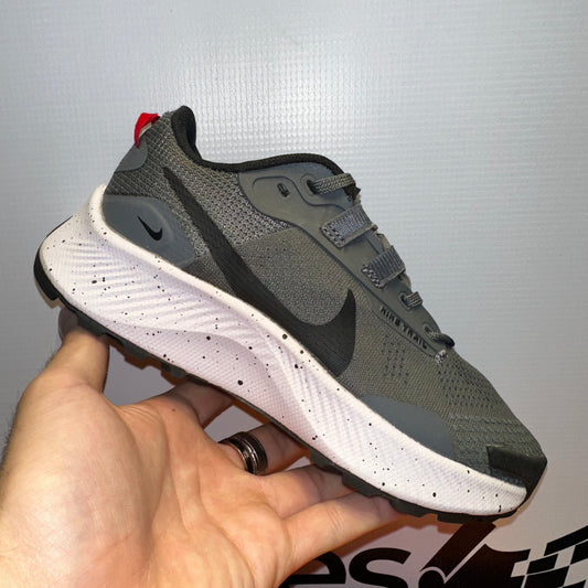 Nike Pegasus Trail