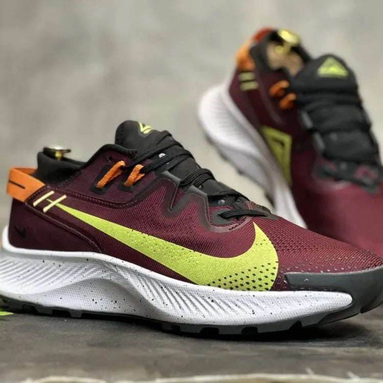 Nike Pegasus Trail 2