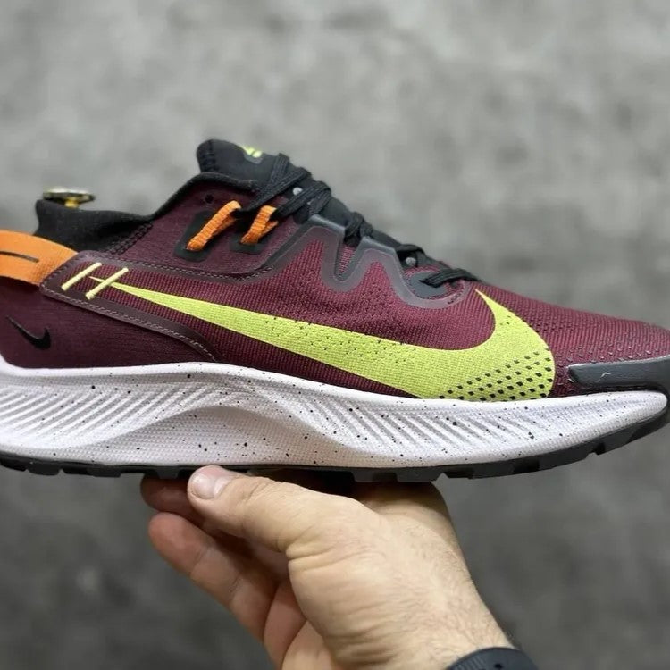 Nike Pegasus Trail 2