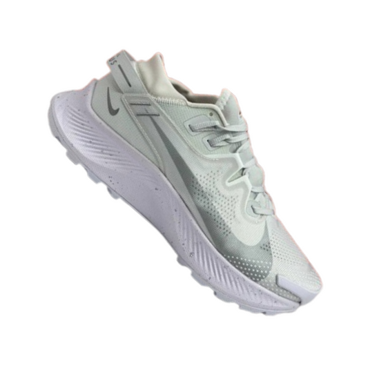 Nike Pegasus Trail 2