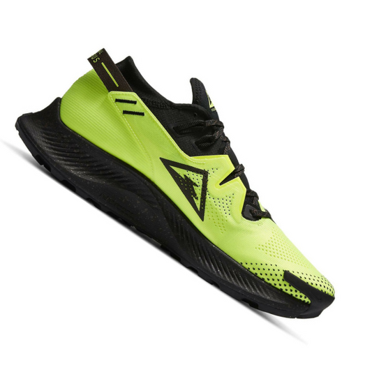 Nike Pegasus Trail 2